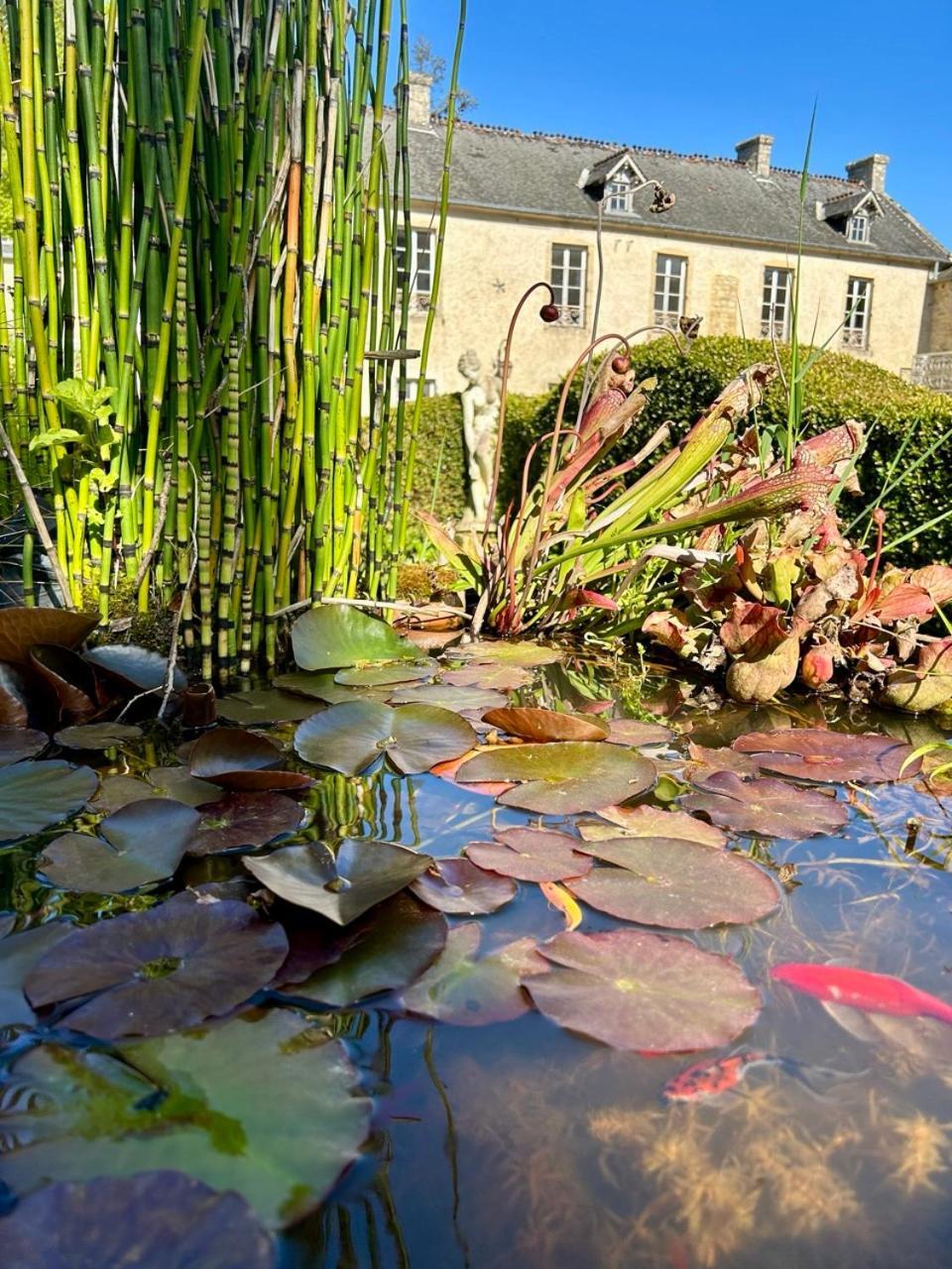 Chambres D'Hotes Manoir Du Chene Nonant Esterno foto